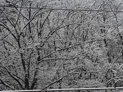 당신을 위해 비나리