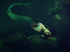 패관잡기: 박 사관과 전 사관의 평범한 하루