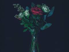 친애하는 나의 멸망에게.