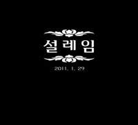 온리전 TCG 전후면 디자인