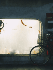 캐자 프로필 백업