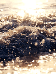 라투디 공부 기록용