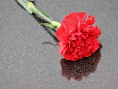 스승의 날에는 카네이션을 선물하세요. 무덤덤한 사람의 새로운 표정을 볼 수 있을지도...