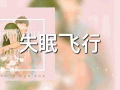 접개문,개일창 - 불면비행