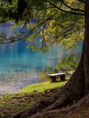 [추리]팀 대항전이였나