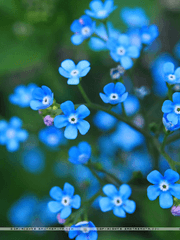 FGO Fate Series 2차 창작텍스트