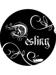 디자인 :: 포트폴리오