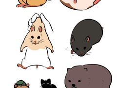 러프한 랜덤 동물 커미션