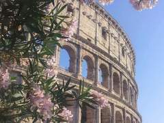 Alexial Leo Von Cladimier | 26 | XY |