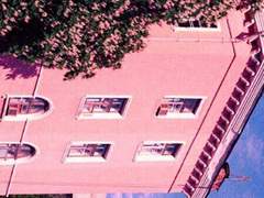 [원신/다이벤티/종려벤티] 환상통