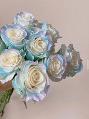 어떤시리즈 드림