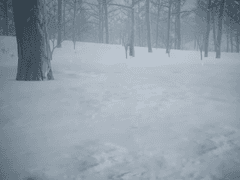 우리 봄에 만났어야 됐는데