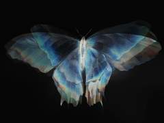 도월의 윤곽을 잇는 아청빛 프락시스