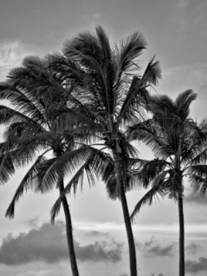 [연밤] lovelorn 下