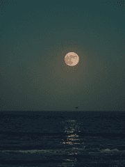 맘 속에 잠들던 것