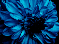 개인세계관 음유시인 AU