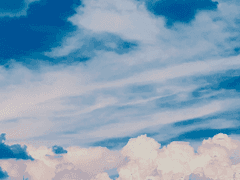 너를 사랑한 날 -2화