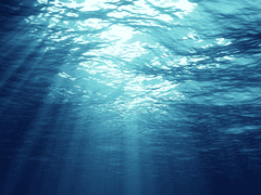 엄마의 생일을 축하해