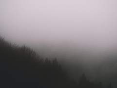 거울과 안개숲과 오래된 방