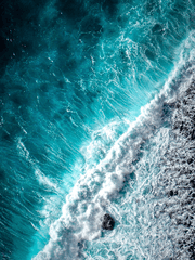 인간과 어인과 인어