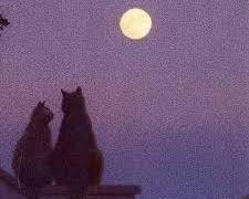 선배~ 나 밥 좀 사줘요.