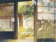 [희신강징/망기무선] 不歸