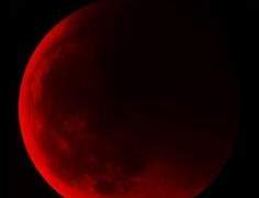 Medatheas Dolce Roxy/천사/블러드문