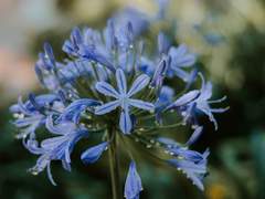 [주술회전] 어차피