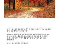 단풍이 곱게 물들었습니다.