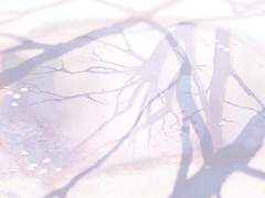 눈부시게 찬란한