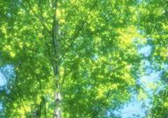 다이아나 E. 콜프레드ㅣ27ㅣXXㅣ아크레테 +BGM