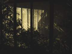 [레이코가] 인류 멸망 그 후