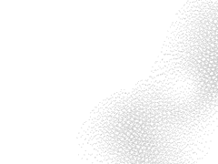 ■■의 형태 (2)