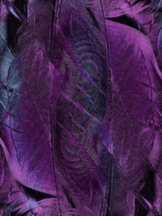 별이 그린 영원의 궤적