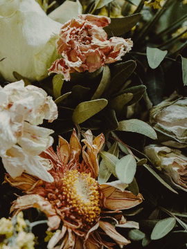 사랑이대(二代)