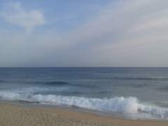 새파란 바다의 너에게