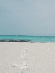 가벼운 미로정원