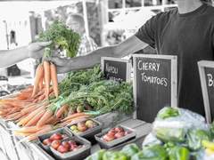 KPC는 품절입니다! BGM 추천 리스트