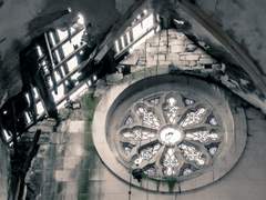 디케가 매화에게