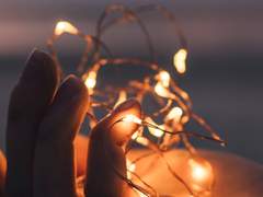 해피 버스 데이