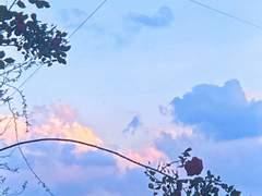 나의 절망의 끝