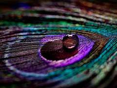 [Crossick] 애착과 집착 中