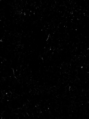 오매불망(寤寐不忘)