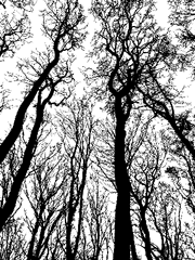 𝚂𝚝𝚛𝚊𝚗𝚐𝚎𝚛