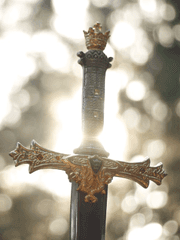 장르들의 주인공