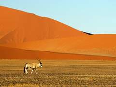 출발 배구팀! 날아서 세계 속으로