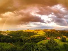 스텔라 L. 녹스룬 26 그라티아 기사단