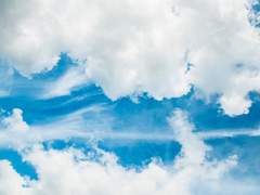 무너진 하늘 아래