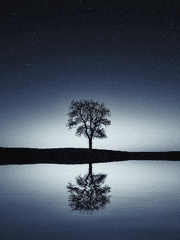 창작소설 - 모든 것은 수인을 위하여