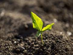 [Liam / 24살 / HERO]